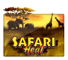 Safari Heat